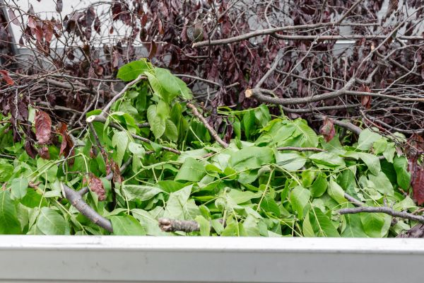 Cost of Brush Pile Removal in Simi Valley