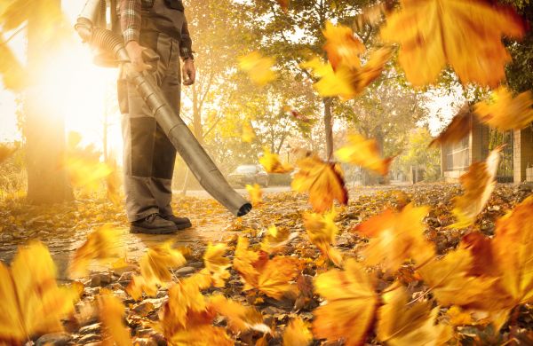 Leaf Blowing Service in Simi Valley
