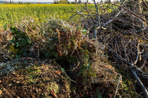 Brush Disposal in Simi Valley