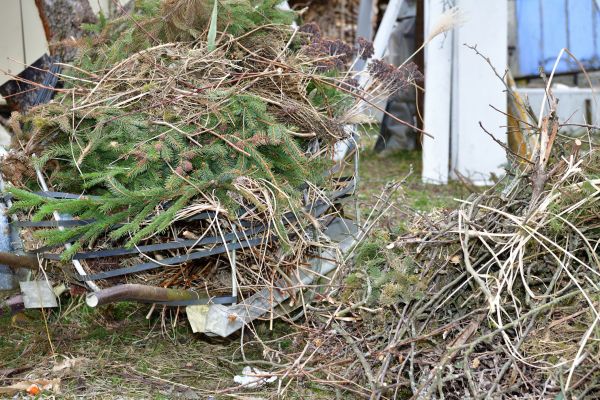 Cost of Yard Waste Removal Service in Simi Valley