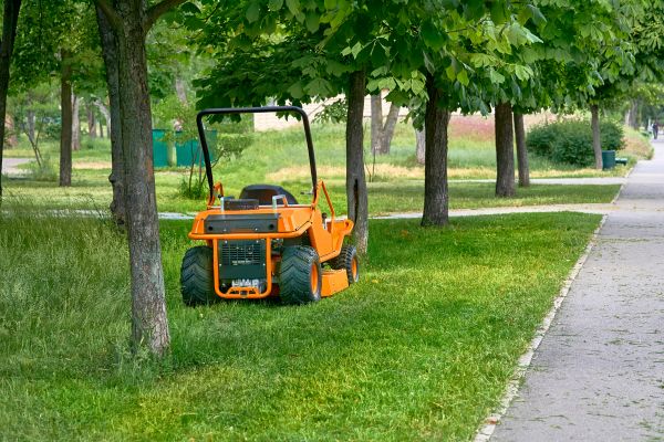 Landscaping Cleanup Service in Simi Valley