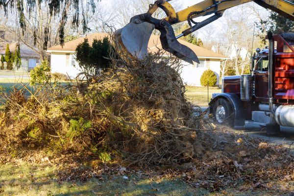 Storm Debris Removal in Simi Valley