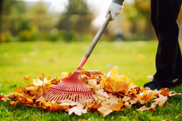 Ditch Leaf Removal in Simi Valley