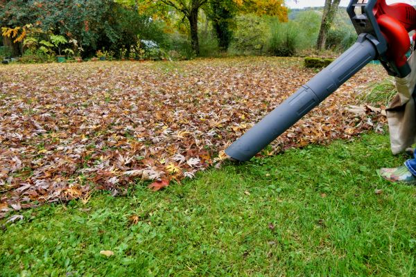 Leaves Vacuuming in Simi Valley