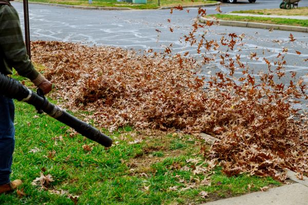 Garden Leaf Removal in Simi Valley