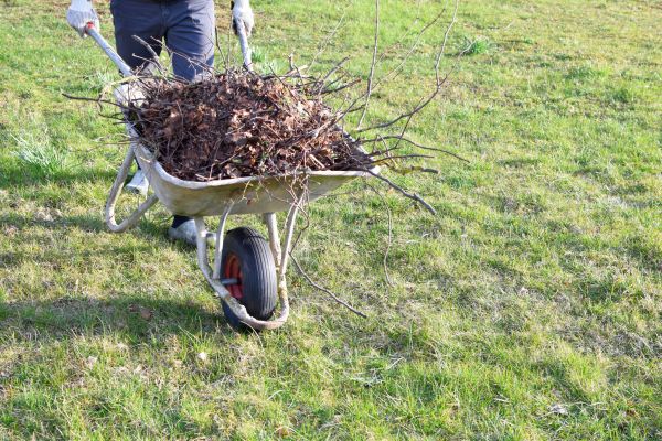 Cost of Yard Brush Removal in Simi Valley