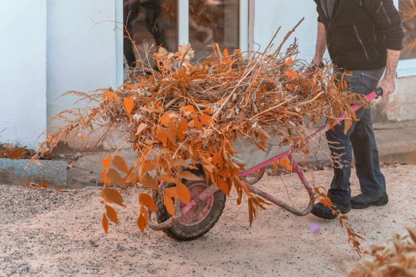 Cost of Lawn Debris Cleanup in Simi Valley
