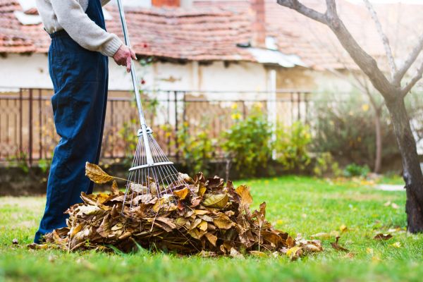 Spring Lawn Cleanup in Simi Valley