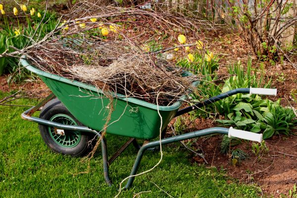 Lawn Waste Removal in Simi Valley