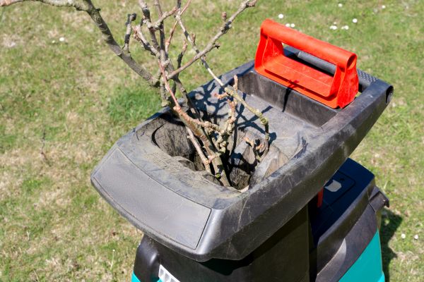 Cost of Brush Cleanup Service in Simi Valley