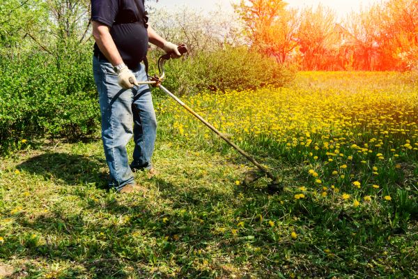 Yard Clearing Service in Simi Valley