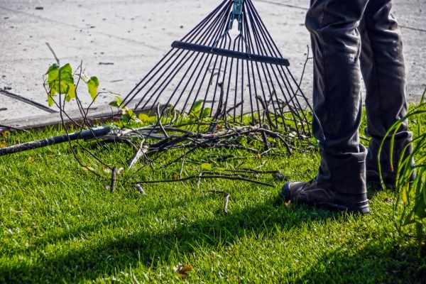 Yard Debris Cleanup in Simi Valley