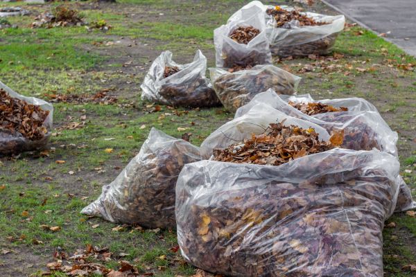 Leaf Pile Disposal in Simi Valley
