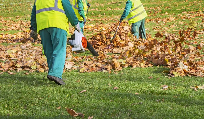 Seasonal Cleanup Specialists